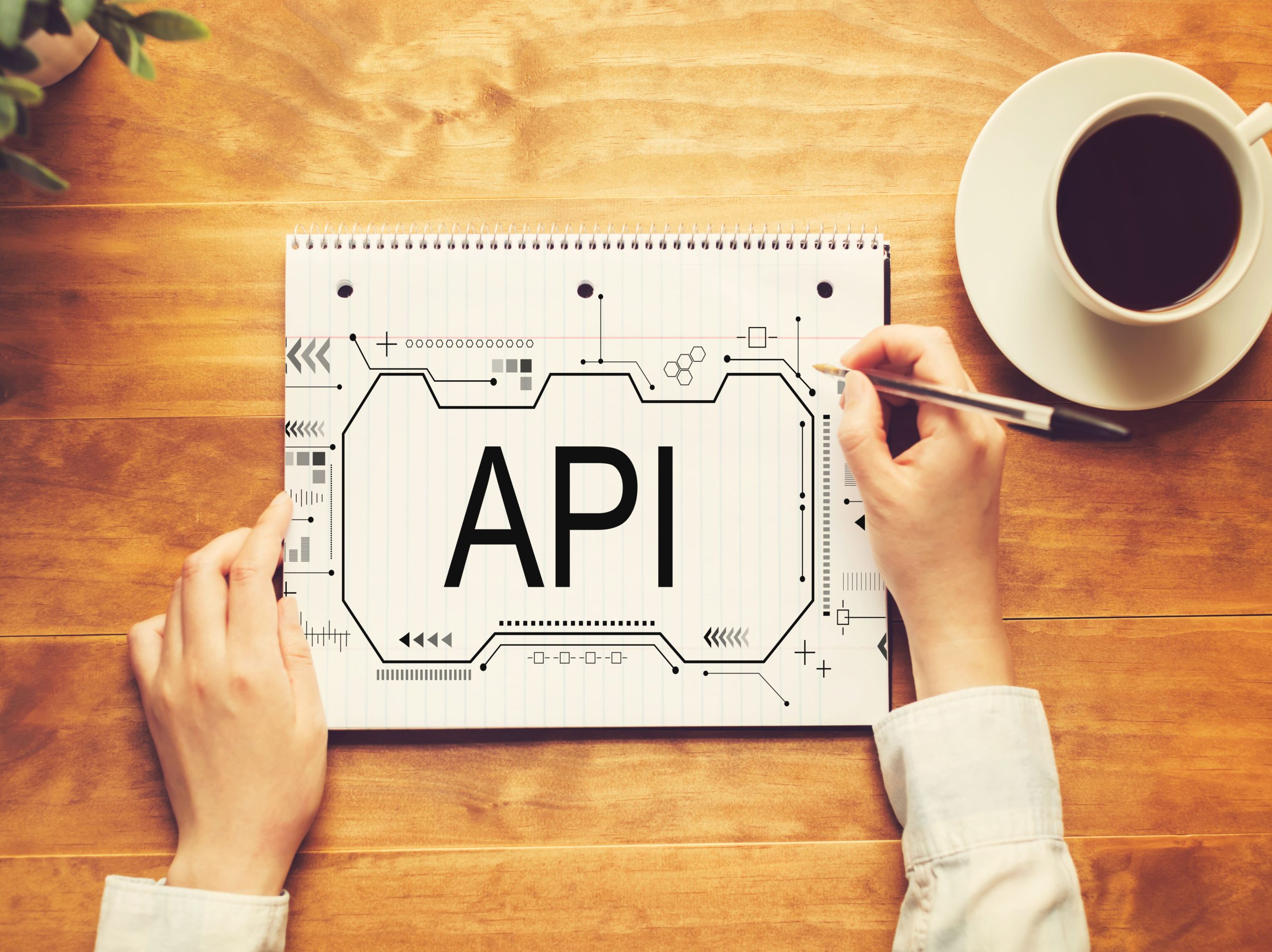 Integrated API - Axon ERP